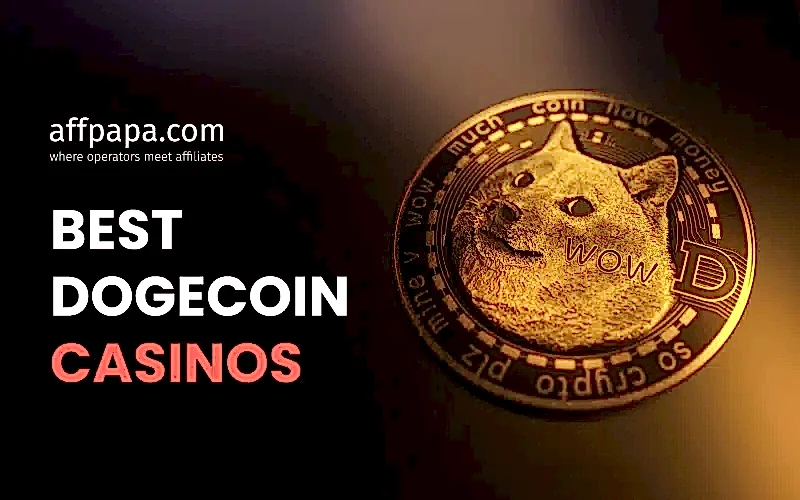 10 Top Dogecoin Casinos: DOGE Betting 2026